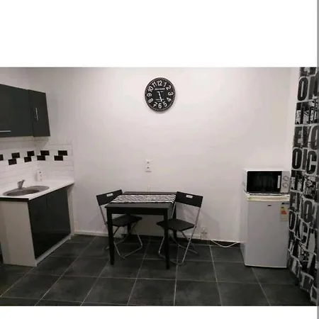 Daire Studio Sympa Centre Proche Massillon *