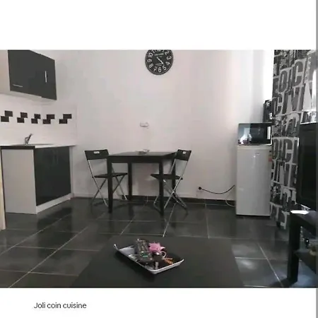 Daire Studio Sympa Centre Proche Massillon *